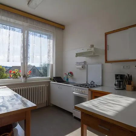 Holiday home Certuv Kamen *
